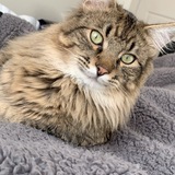 Entry image for Alistair