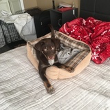 Entry image for Dana