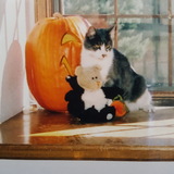 Entry image for Mister Blend