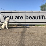 Entry image for Perl