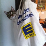 Entry image for Bernie