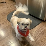 Entry image for lil Man