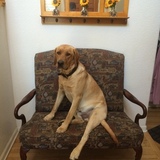 Entry image for Wally