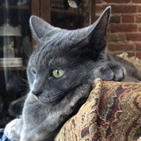 Entry image for Trudy