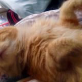 Entry image for Rafa