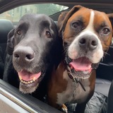 Entry image for Hunter & Wyatt