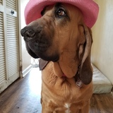 Entry image for Georgia