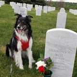 Entry image for Augie