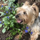 Entry image for Roxy Lynn Gilley 