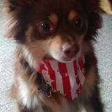 Entry image for Lewis Hamilton Slick