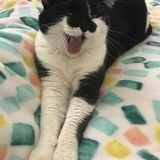 Entry image for Tootie Lynn Quirova 