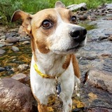 Entry image for Elena