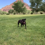 Entry image for Lou Lou