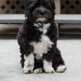 Entry image for Cruz