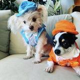 Entry image for Sir and Philly