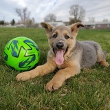 Entry image for Kratos