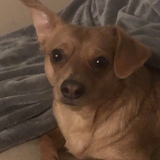 Entry image for Finley