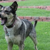 Entry image for Gucci