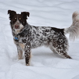 Entry image for Cooper 