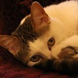 Entry image for Emily