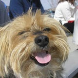 Entry image for Jaxsun