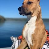 Entry image for Nellie