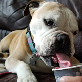 Entry image for Mugi Batake