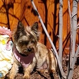 Entry image for Lucky