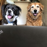 Entry image for Easton 