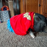 Entry image for Chrissy