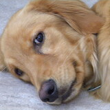 Entry image for Rylee