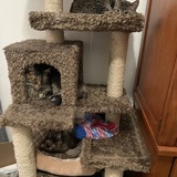 Entry image for Top to Bottom (Stitch, Mel, Lilo)