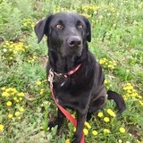 Entry image for Nora