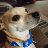 Entry image for Poquita