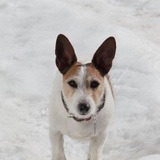 Entry image for Tank