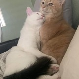 Entry image for Mojo and Milo