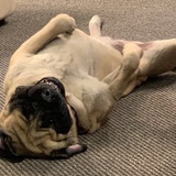 Entry image for Juno