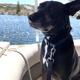 Entry image for Aires