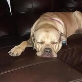 Entry image for Keke