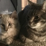 Entry image for Carl and Louie