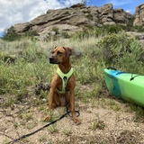 Entry image for Maggie