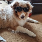 Entry image for Melman