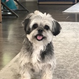 Entry image for Mini 