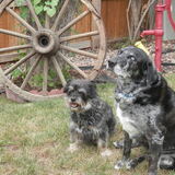 Entry image for Cindy & Skip