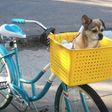 Entry image for Ivan