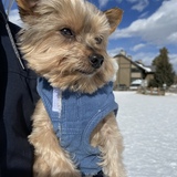 Entry image for Markie