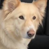 Entry image for Dina Louise