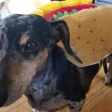 Entry image for Lenny