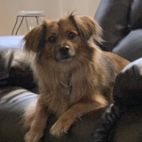 Entry image for Bailey