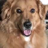 Entry image for Sookie